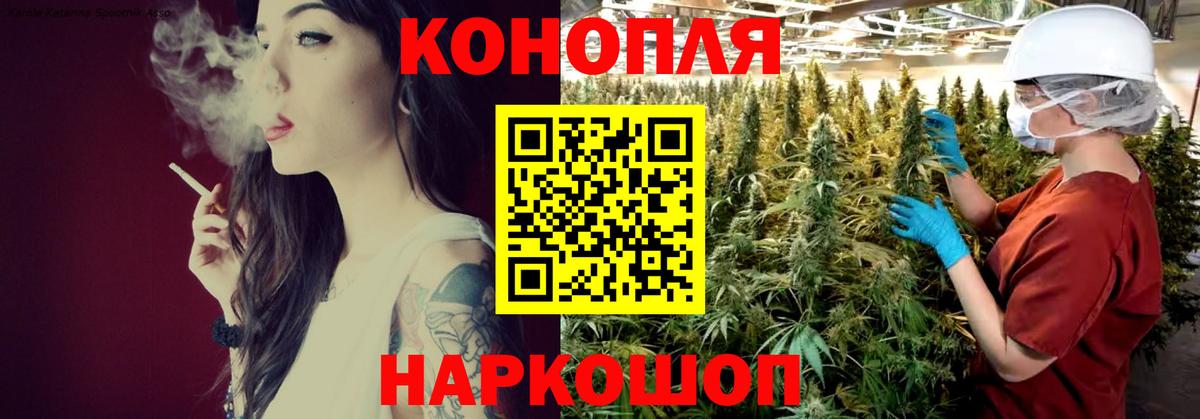 Каннабис OG Kush Клин